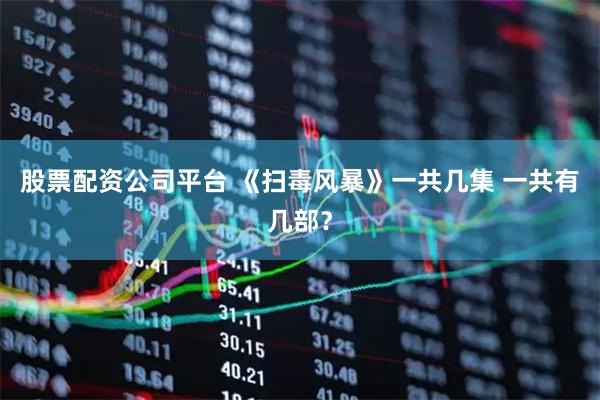 股票配资公司平台 《扫毒风暴》一共几集 一共有几部？