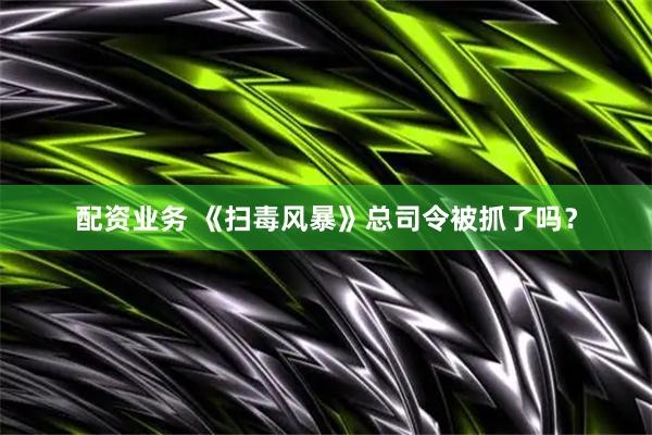 配资业务 《扫毒风暴》总司令被抓了吗？